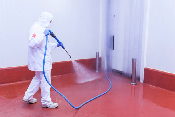 Best Spring Cleaning  in Wyandanch, NY